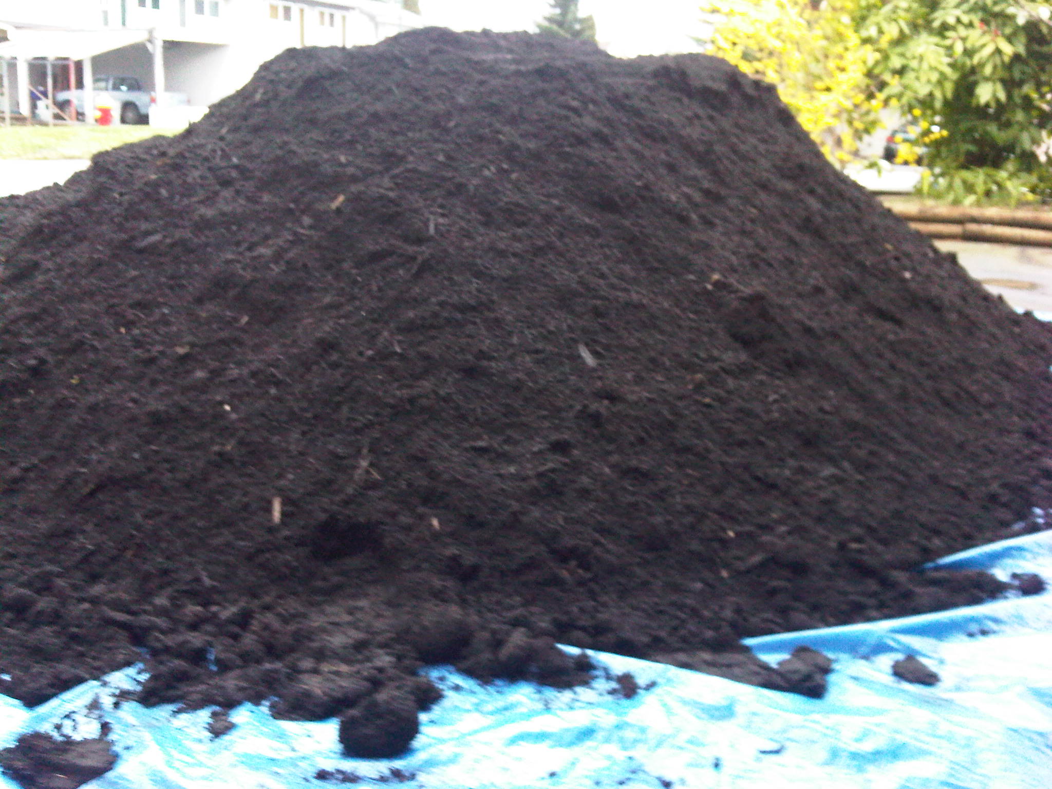 best_top_soil_compost