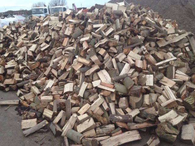 1511675_10202113974064277_17532755_n